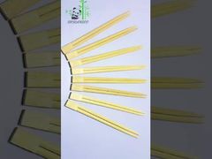 Einweg-Bamboo-Stichstücke Zwillings-Stichstücke